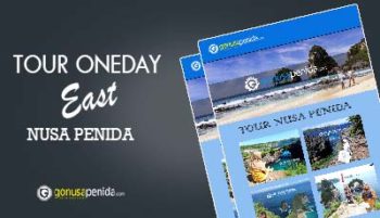 Tour Nusa Penida Oneday East